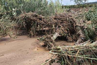 La tempesta de dimecres causa danys en 15 hectàrees d’horta i vinya a l’Alt Penedès. Unió de Pagesos